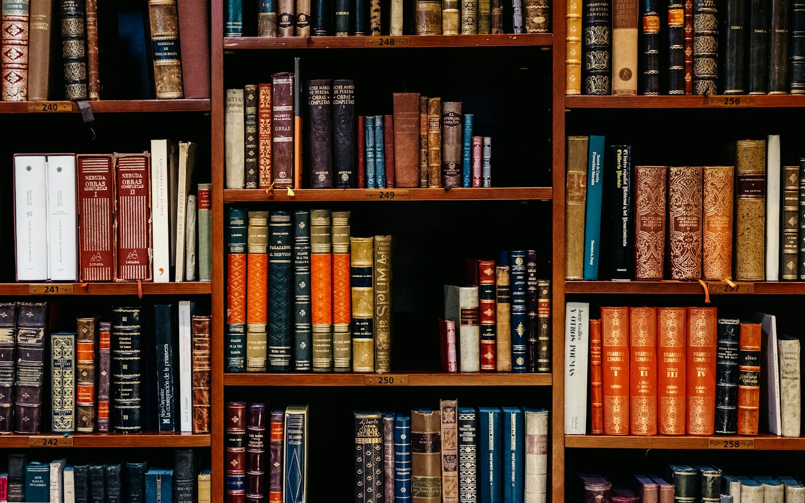 A quiet, warmly lit library reading room