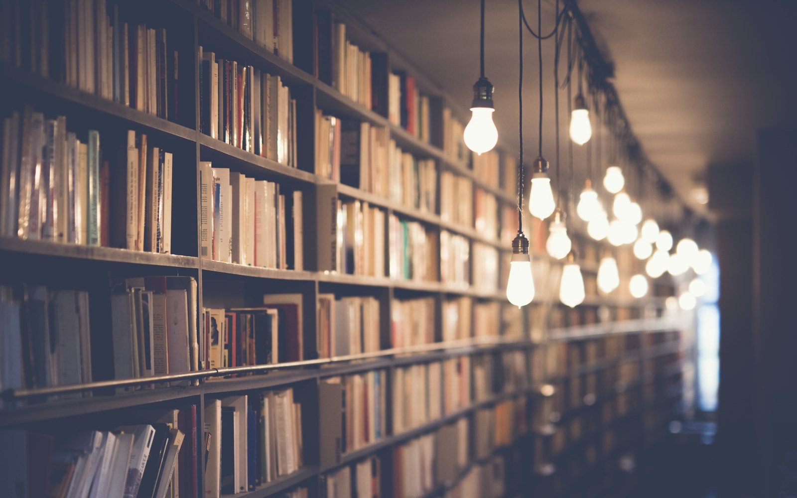 An open book under warm light in a quiet library